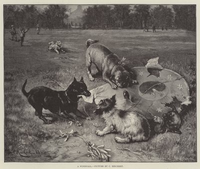 ウィンドフォール 作： Carl Reichert